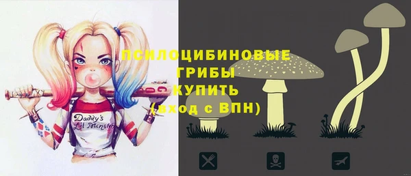 СК Кинешма