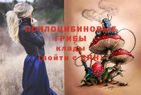 дмт Касимов
