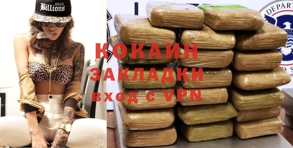 дмт Касимов